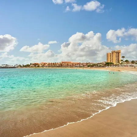 Wonderful Holidays, Ocean View, Close To The Beach شقة بلايا ذي لاس أميريكاس